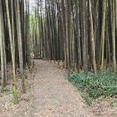 영산강변 우안자전거도로5 | 낙동강 따라 걷기31(영아지마을입구-남지철교-창녕함안보)