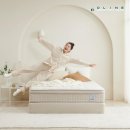 S호텔 | 올라인 체험하고 결정하는 프레셔스 매트리스 유로탑 호텔 침대 미디엄하드 싱글 S 후기