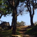 외나무 약국 이미지