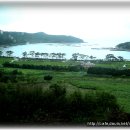 로하스웰빙 이미지