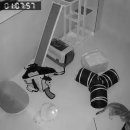 고양이 미용&호텔 뽀냥 이미지