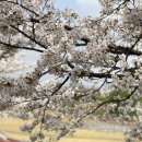 비엔피병원 이미지