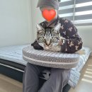 강경약국 | [모유수유 도전기 ep2] 포항여성아이병원 24시간 모자동실 후기 (+제왕절개 회복기를 곁들인...)