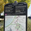 올림픽베어스타운아파트앞 | [서울 단풍] 한성백제박물관 은행나무길 오늘 실시간 단풍현황 및 총정리! 보정 없는 원본 사진 공유