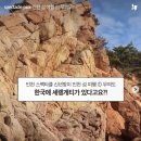 인천 섬여행 추천_한국의 세렝게티 '무의도' 이미지