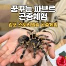 주식회사꿈꾸는집 | 김포 꿈꾸는파브르_스토리텔링 곤충체험 :: 만지고 만들고 배우는 체험후기