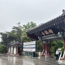 복돼지인생 | 경주 여행 불국사 연화교 칠보교 백운교 다보탑 석가탑 극락전 복돼지