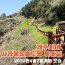우당도서관 (사라봉방면) | 제주시내권 벚꽃명소 사라봉 별도봉 벚꽃 개화시기 | 바다 전망 오름 산책로