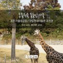 동물원 이미지