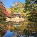 장성 백암산 단풍산행--① 이미지