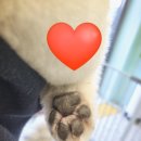 유폴 평택지제역점 네이버블로그