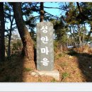 시례농장 이미지