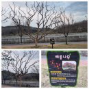 기성초구산분교장 이미지