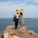 한영카센터 이미지