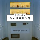 해피애견 | 반려견미용실] 해피오브트리밍 후기 (애견미용 양주애견미용 덕계동애견미용 회천동애견미용 비숑미용...