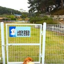 솔푸른향기애견 이미지