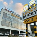 러키더키(LUCKYDUCKY) | 경북 칠곡 석적 대형 카페 추천 러키더키 (아쿠아리움, 식물원)