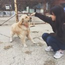 구즉당구장 이미지