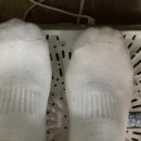 핫쿨 스토어