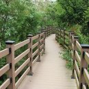 바다보는 민박 이미지