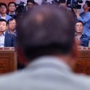 피정권