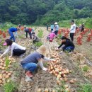 대가면사무소 이미지