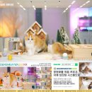 골든스웨터 캐터리 이미지