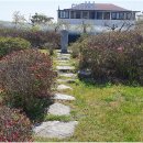 대부도 이찬 자선비 이미지