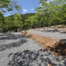 노일강 캠핑장 이미지