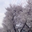 클레망베이커리