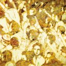 조선껍데기 이미지