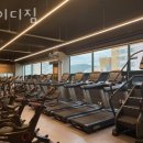 와이디짐 - 제주시 노연로 131 | 와이디짐