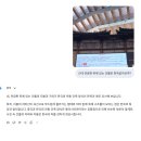 장백타이어 | [이름 없는 투명 인간과 피 묻은 공책]3편.무궁화와 쾌청