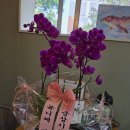 조혜리스킨&바디 네이버블로그