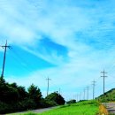 알지니포레스트 이미지