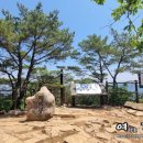 2022-주174 이미지