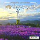 연수사화장실 | 거창 감악산꽃별여행_보랏빛 아스타국화로 물든 감악산별바람언덕(ft. 주말방문 후기)