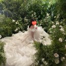 [결혼준비] 청담드레스샵 라보네르나나 계약 후기 (웨딩 촬영드레스 / 신랑 턱시도 대여)