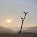 삼호2길 이미지