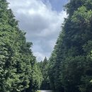 신흥목장2 이미지