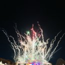 경희대 청룡태권도 이미지