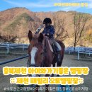 안성민속과자 | 제천캠핑장 수도권근교캠핑 아이와가기좋은캠핑장 애견동반가능캠핑장::제천패밀리오토캠핑장