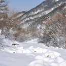 황토마루 이미지