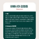 24시휴동물의료센터 네이버블로그