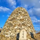 평원애견 이미지