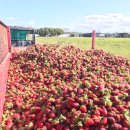 유학농장 이미지