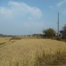 은실5길 이미지