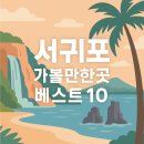 서귀포 가볼만한곳 10곳 이미지
