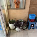 갓바위황토숯가마 이미지