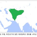 (사라진 민족) 07. 에프탈족, 페르시아와 인도를 위기에 빠뜨리다. 이미지